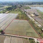 Land for sale in Mae Taeng near the main road and beautiful ricef ields
