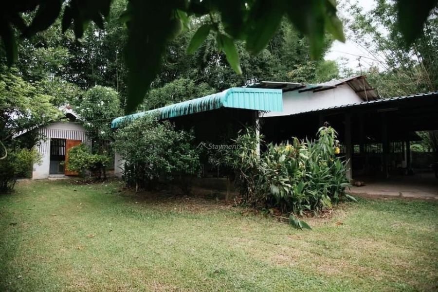 2-bedroom-house-for-sale-in-khilek-chiang-mai (8)