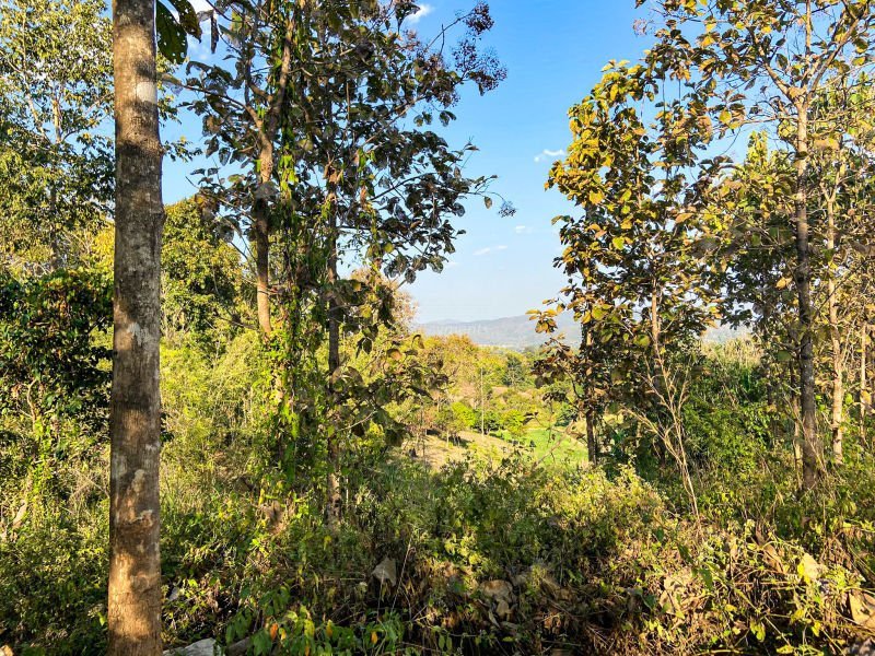 land-for-sale-in-mueang-ngai-chiang-mai (2)