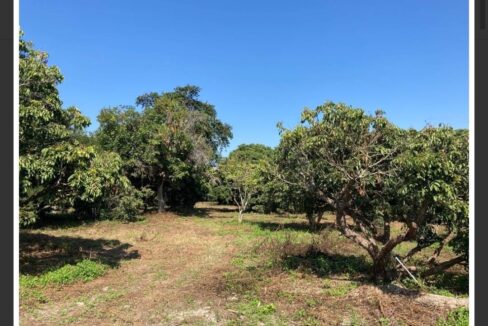 Beautiful Land For Sale In Nam Phrae